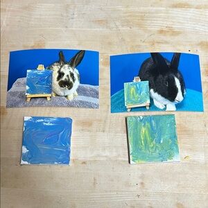 Colorful Rabbit Artist canvas  Set 3” square painted by the bunny in the picture